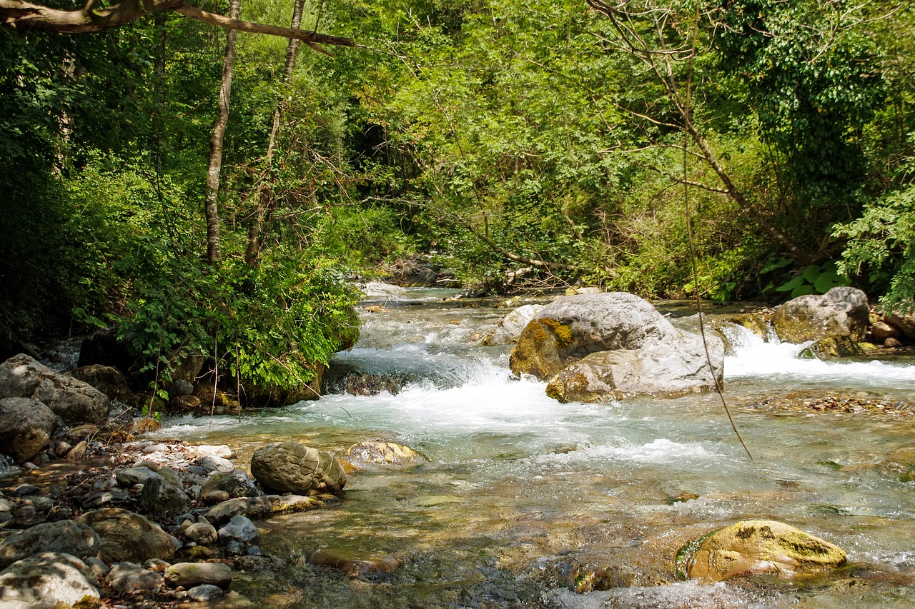 Orsomarso, Kalabrija, Torrent, Argentino Srovė, Vanduo, Miškas, Medžiai, Srautas, Į Mišką, Gamta