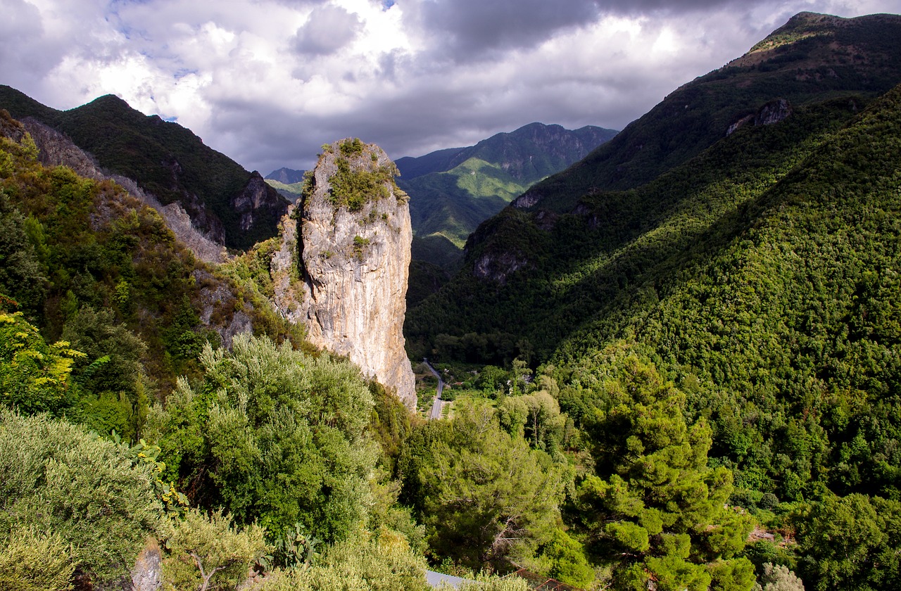 Orsomarso, Kalabrija, Pollino, Pollino Nacionalinis Parkas, Miškas, Medžiai, Gamta, Žalias, Parkas, Rokas