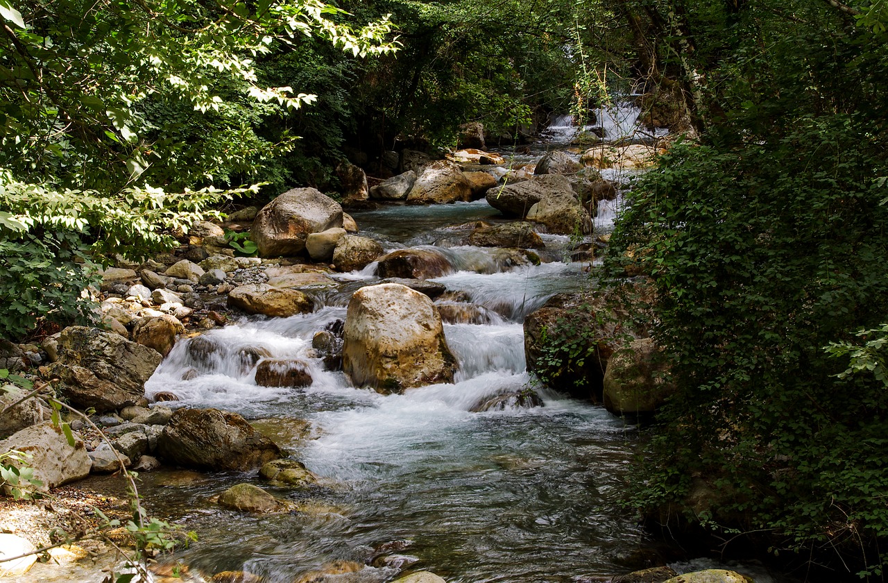 Orsomarso, Kalabrija, Torrent, Argentino Srovė, Vanduo, Miškas, Medžiai, Srautas, Į Mišką, Gamta