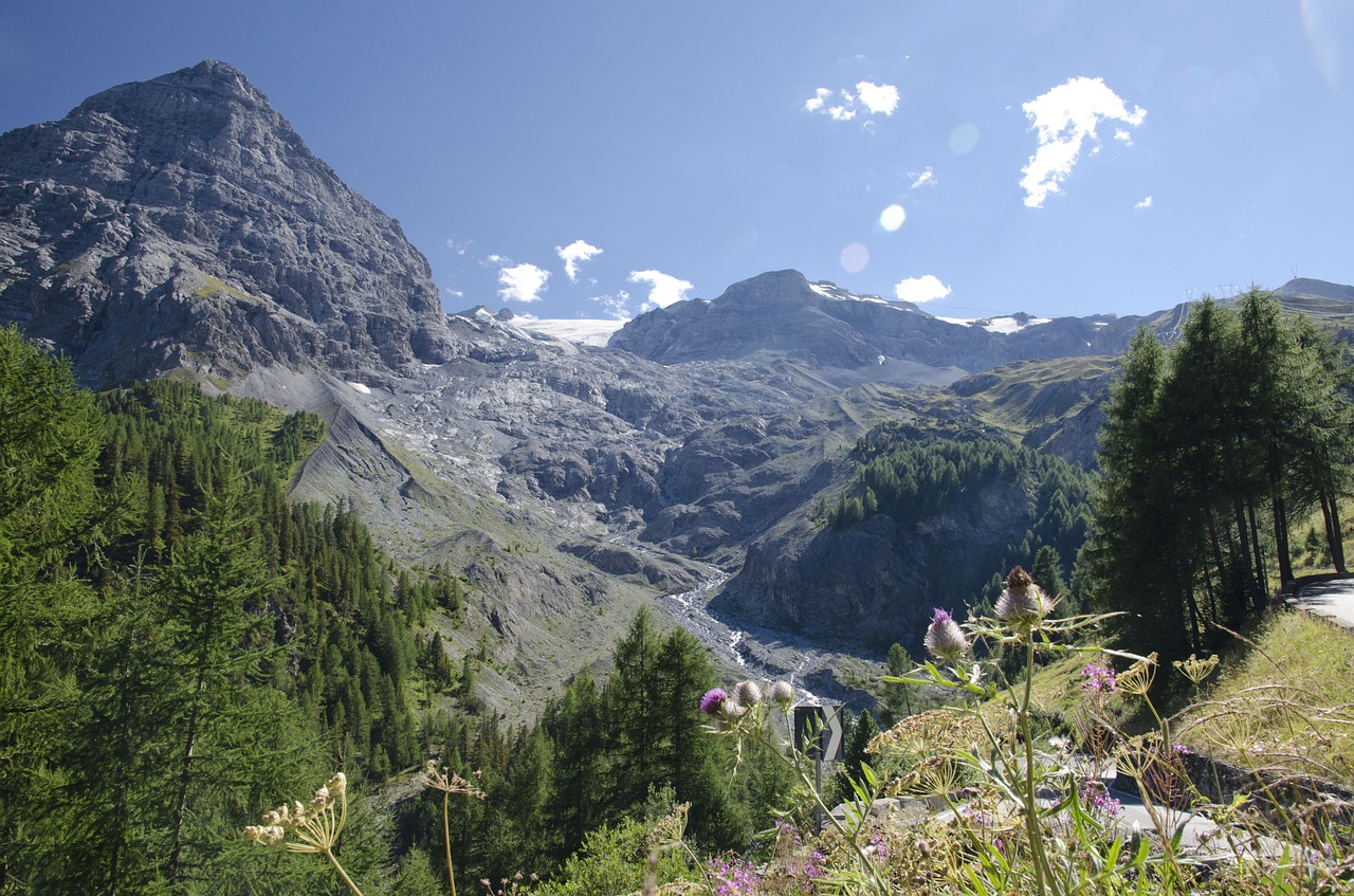 Ortler, Kalnai, Alpės, Stelvio, Italy, Nemokamos Nuotraukos,  Nemokama Licenzija