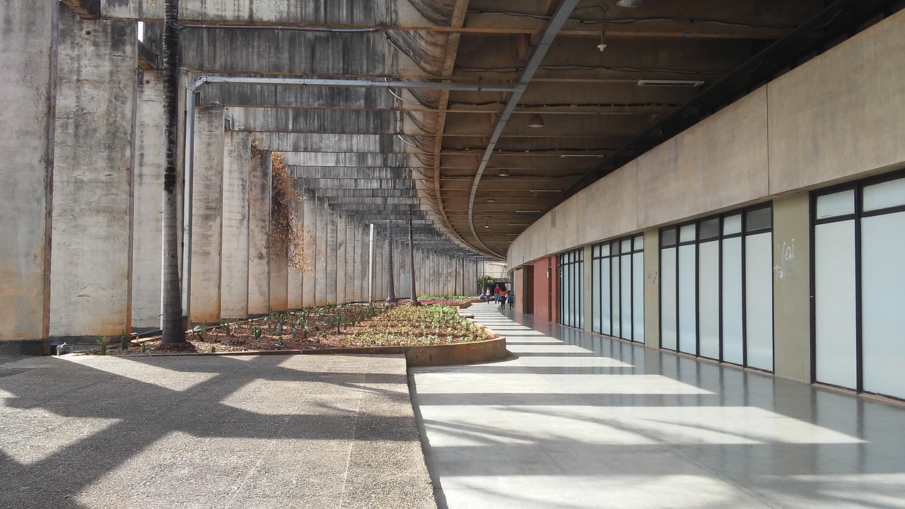 Oscar Niemeyer, Unb, Universitetas, Brasilia, Nemokamos Nuotraukos,  Nemokama Licenzija