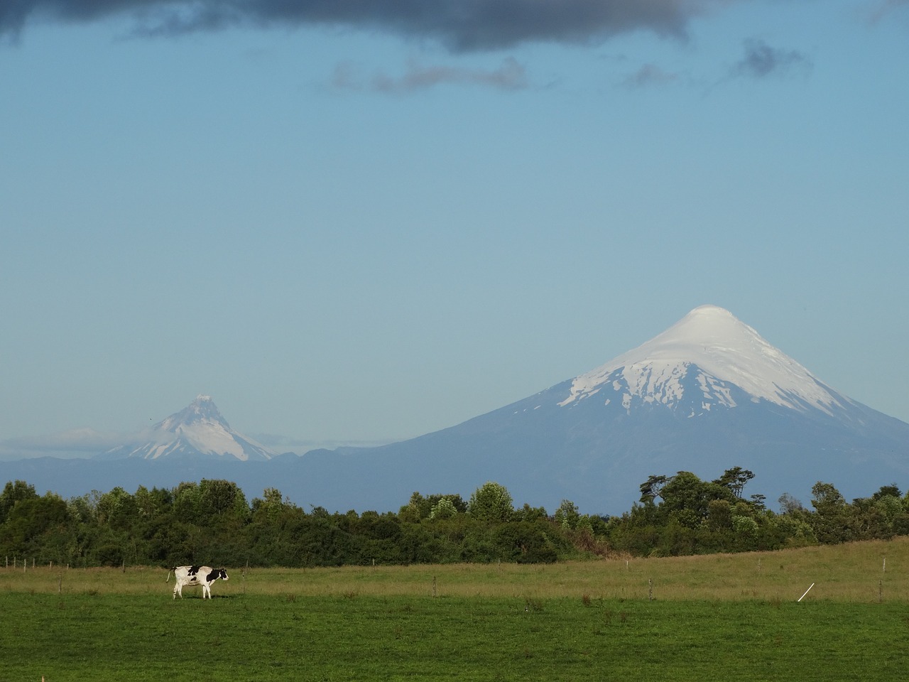 Osorno Vulkanas, Karvė, Laukas, Prairie, Kraštovaizdis, Toro, Gyvūnas, Ganyklos, Veršiena, Kalnas