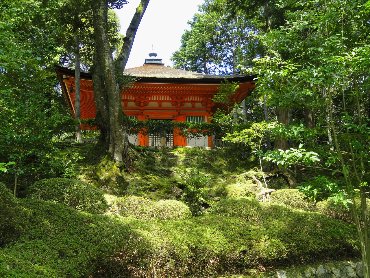 Otsu, Japonija, Shingon, Šventykla, Religija, Tikėjimas, Pastatas, Architektūra, Kraštovaizdis, Medžiai