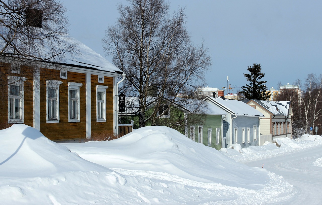 Oulu, Finland, Žiema, Sniegas, Ledas, Medžiai, Namai, Architektūra, Dreifai, Gamta