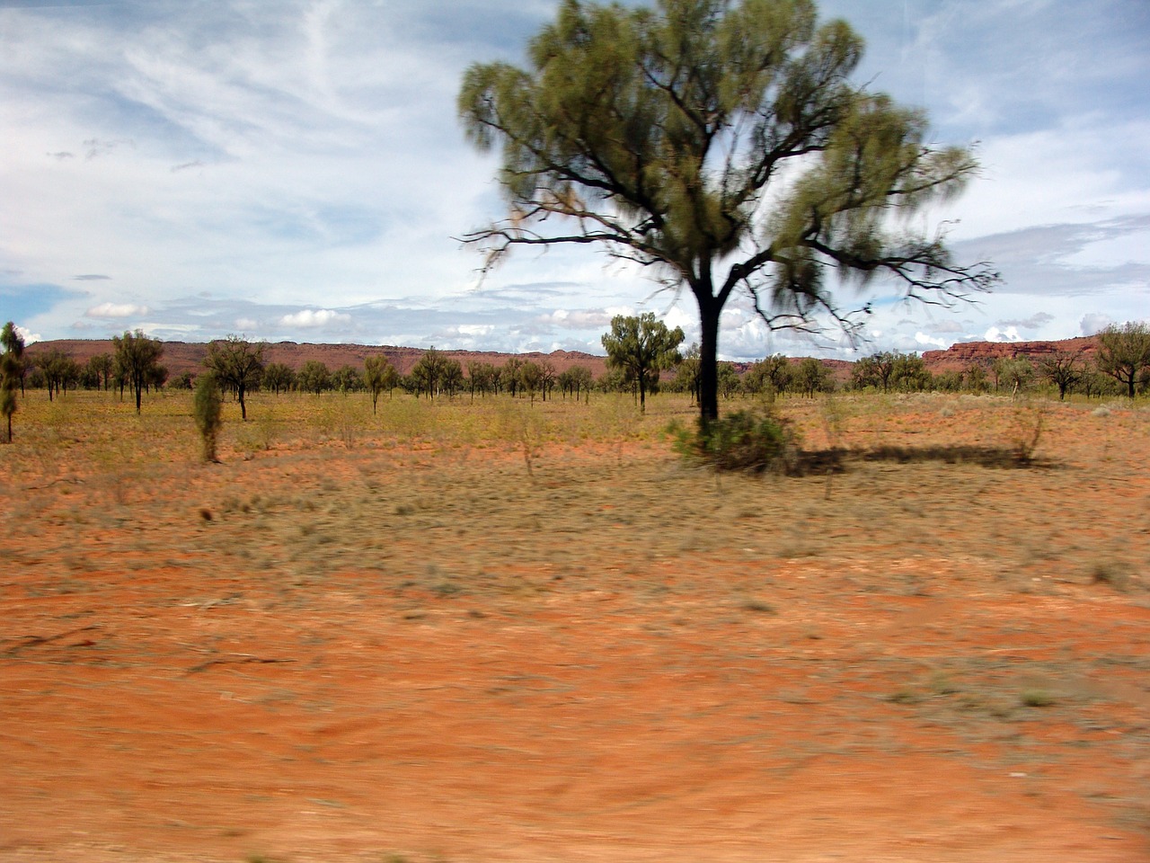 Outback, Krūmas, Stepė, Dykuma, Australia, Raudona, Sausas, Nemokamos Nuotraukos,  Nemokama Licenzija