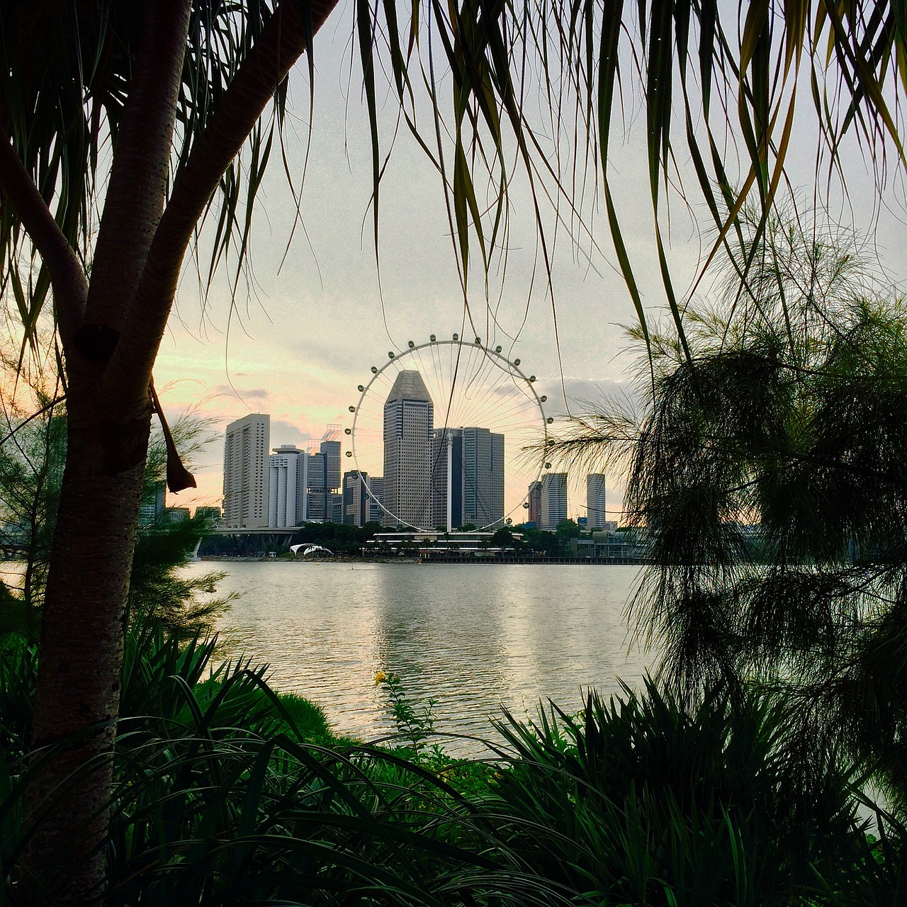 Lauke, Gamta, Kraštovaizdis, Ferris Ratas, Singapūras, Nemokamos Nuotraukos,  Nemokama Licenzija