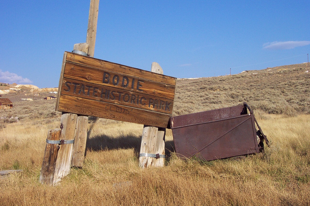 Lauke,  Atsisakyta,  Ūkis,  Pobūdį,  Žolė,  Kasybos,  Bodie,  Bshp,  Bodie Valstijos Istorinis Parkas,  California