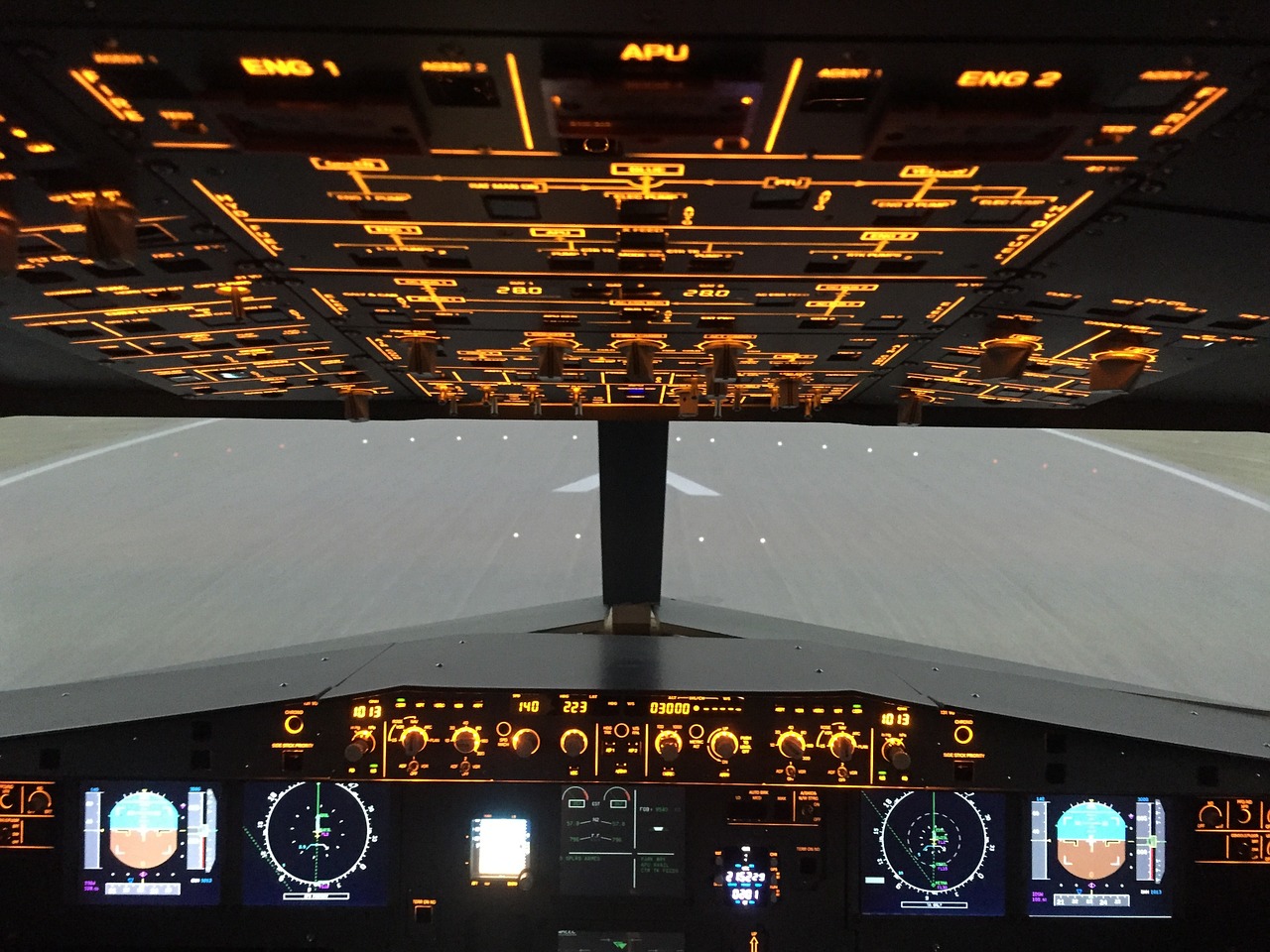 Pridėtinės Išlaidos, Airbus A320, Simuliatorius, Kabinos, Nemokamos Nuotraukos,  Nemokama Licenzija
