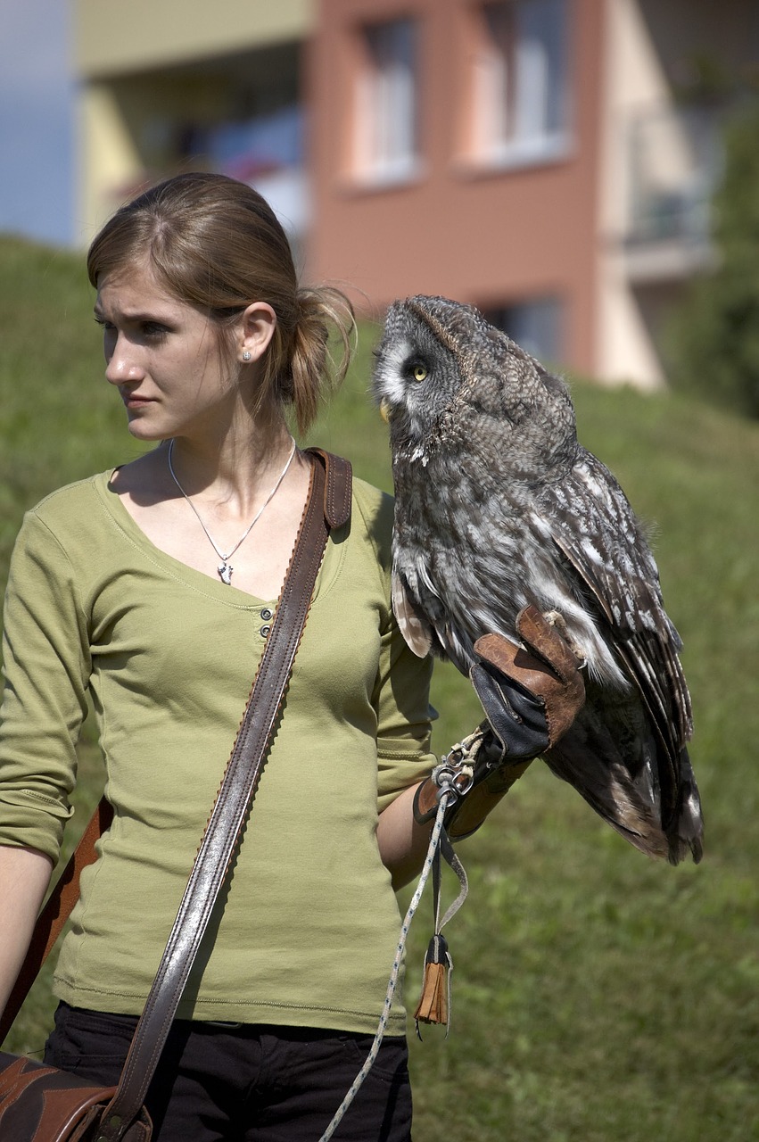 Pelėdos, Kukurys, Birder, Falconer, Moteris, Paukštis, Gyvūnas, Nelaisvė, Drebėjimas, Naktinis Paukštis