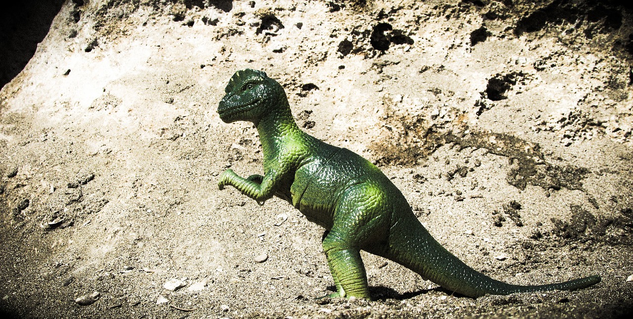 Pachycephalosaurus, Dinozauras, Gyvūnas, Ropliai, Išnykęs, Priešistorinis, Galingas, Paleontologija, Modelis, Žaislas