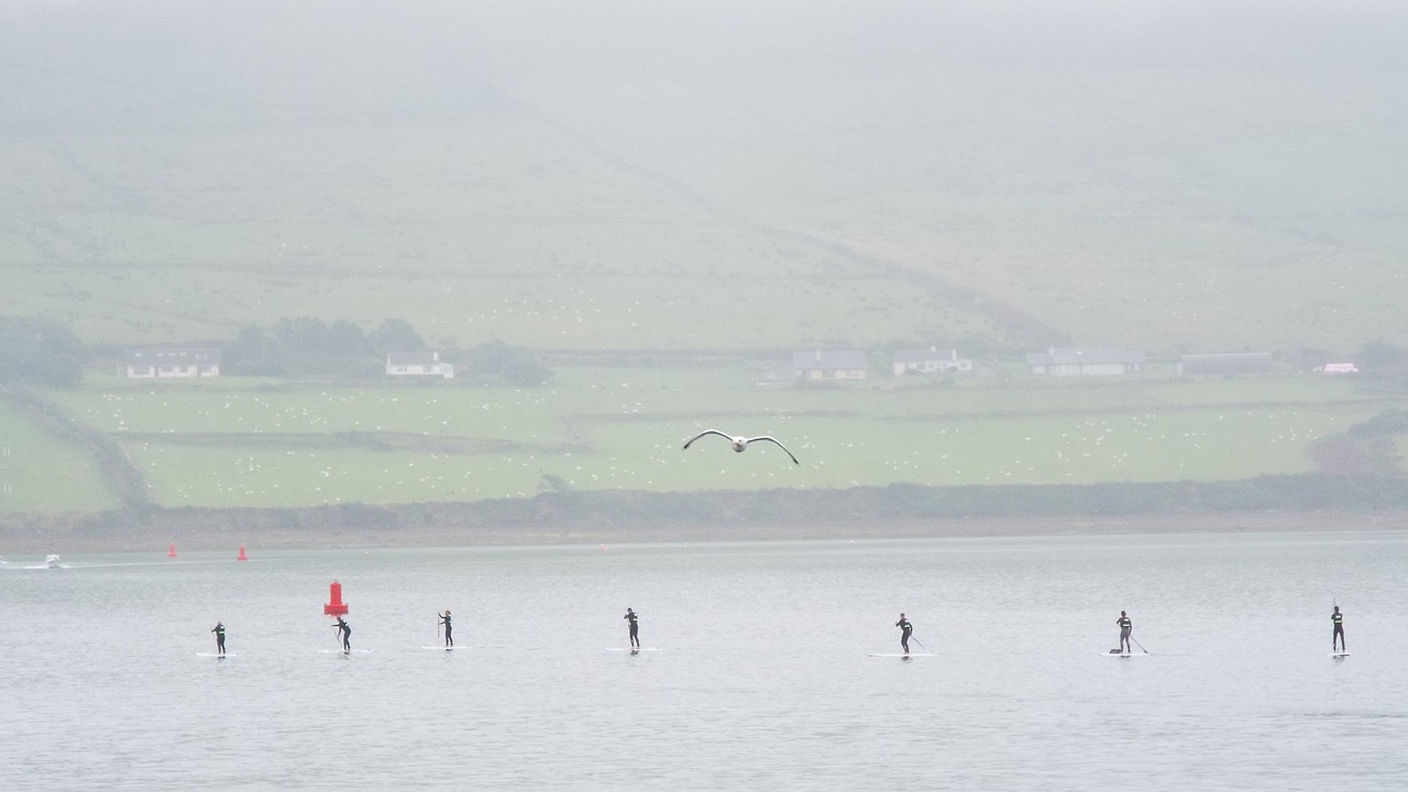 Paddleboarding, Burlentė, Kajakas, Airija, Dingle, Miglotas, Miglotas, Атлантический, Vandenynas, Vandens Sportas