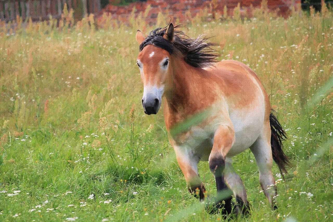 Dažymas, Tapyba Aliejiniais Dažais, Fotografavimas, Arklys, Ganykla, Romp, Lenktynės, Menas, Kūrybingas, Meno Kūriniai