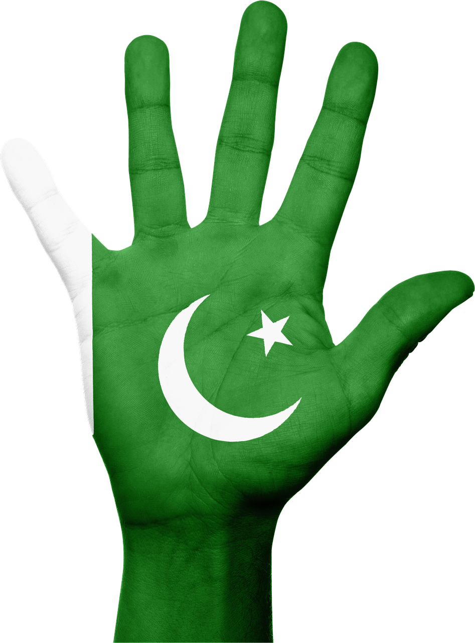 Pakistanas, Vėliava, Ranka, Nacionalinis, Šalis, Patriotizmas, Patriotinis, Simbolis, Nemokamos Nuotraukos,  Nemokama Licenzija