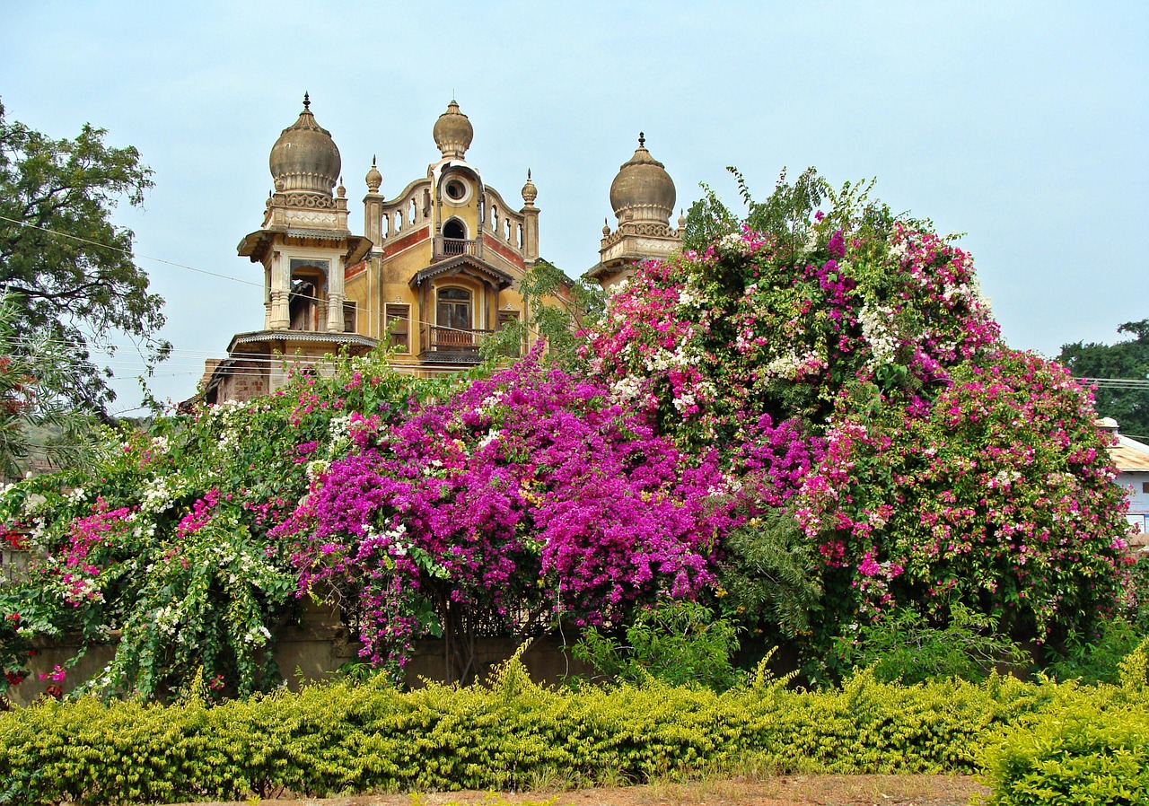Rūmai, Spire, Bugenvilija, Jamkhandi, Karnataka, Indija, Gėlės, Nemokamos Nuotraukos,  Nemokama Licenzija