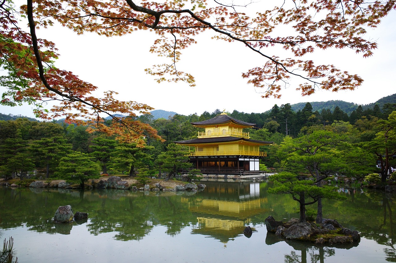 Rūmai, Japonija, Kraštovaizdis, Fotografija, Fotografas, Gamta, Medis, Kelionė, Šviesa, Nemokamos Nuotraukos