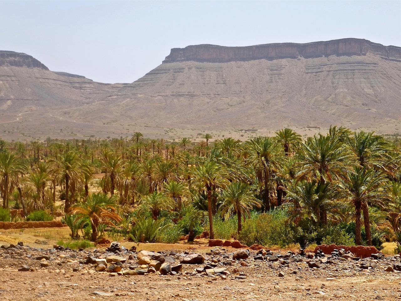 Palmių Giraitė, Marokas, Kraštovaizdis, Afrika, Marroc, Gamta, Nemokamos Nuotraukos,  Nemokama Licenzija