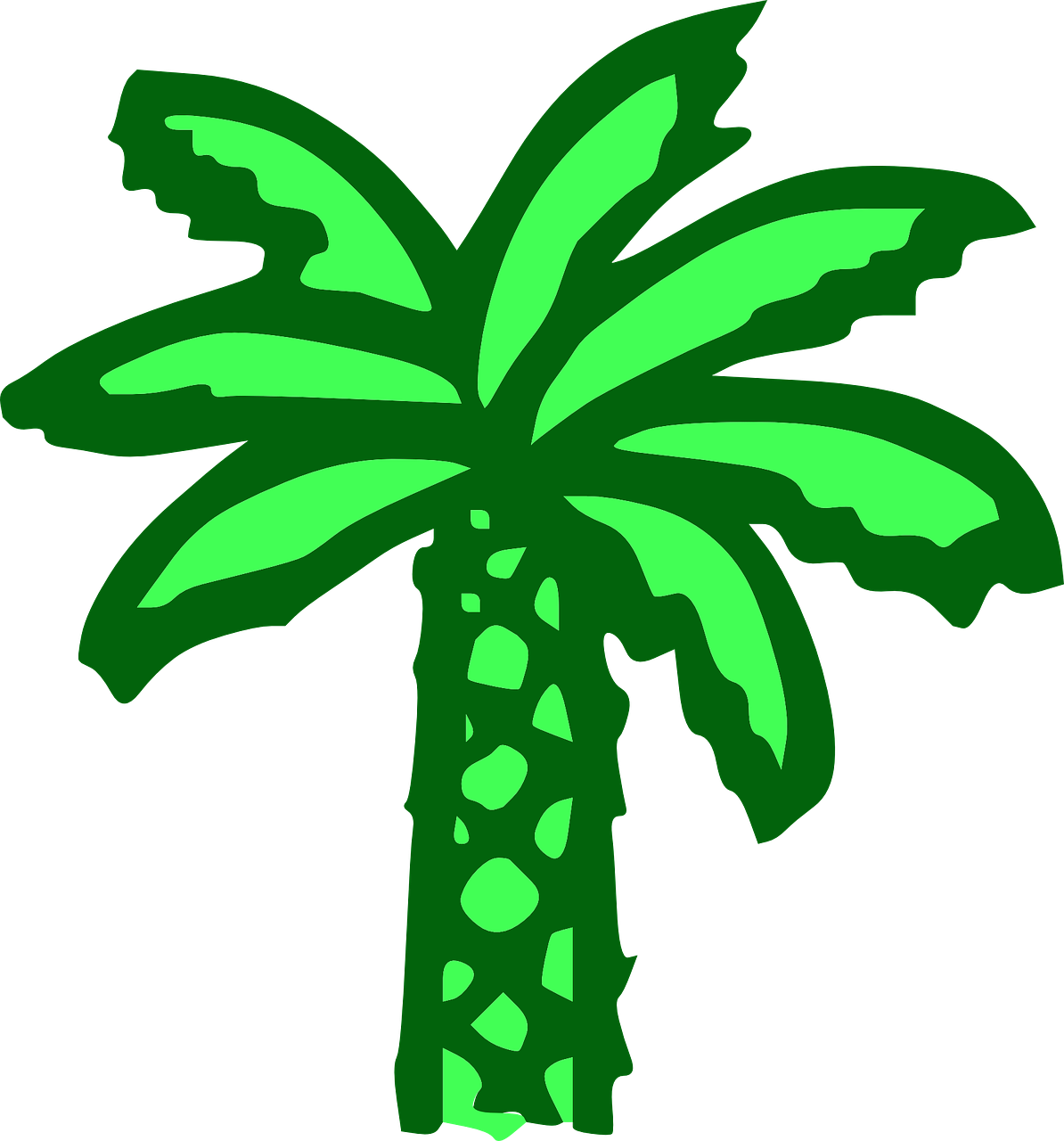Palmė, Žalias, Papludimys, Bananų Medis, Delnas, Atogrąžų, Egzotiškas, Augalas, Data, Kokoso