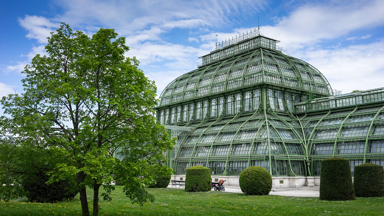 Palmenhaus,  Schönbrunn,  Wien,  Vienna,  Plienas,  Stiklas,  Palmery,  Šiltnamio,  Struktūra,  Architektūra