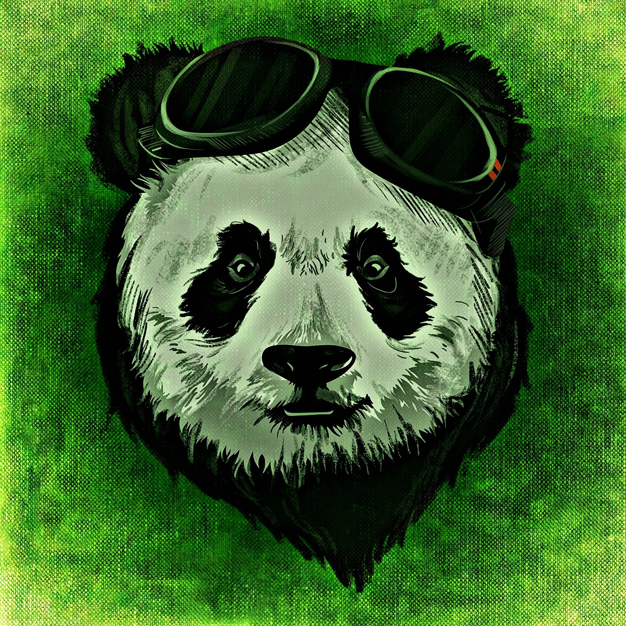 Panda, Gyvūnas, Laukiniai, Abstraktus, Kūrybingas, Nemokamos Nuotraukos,  Nemokama Licenzija