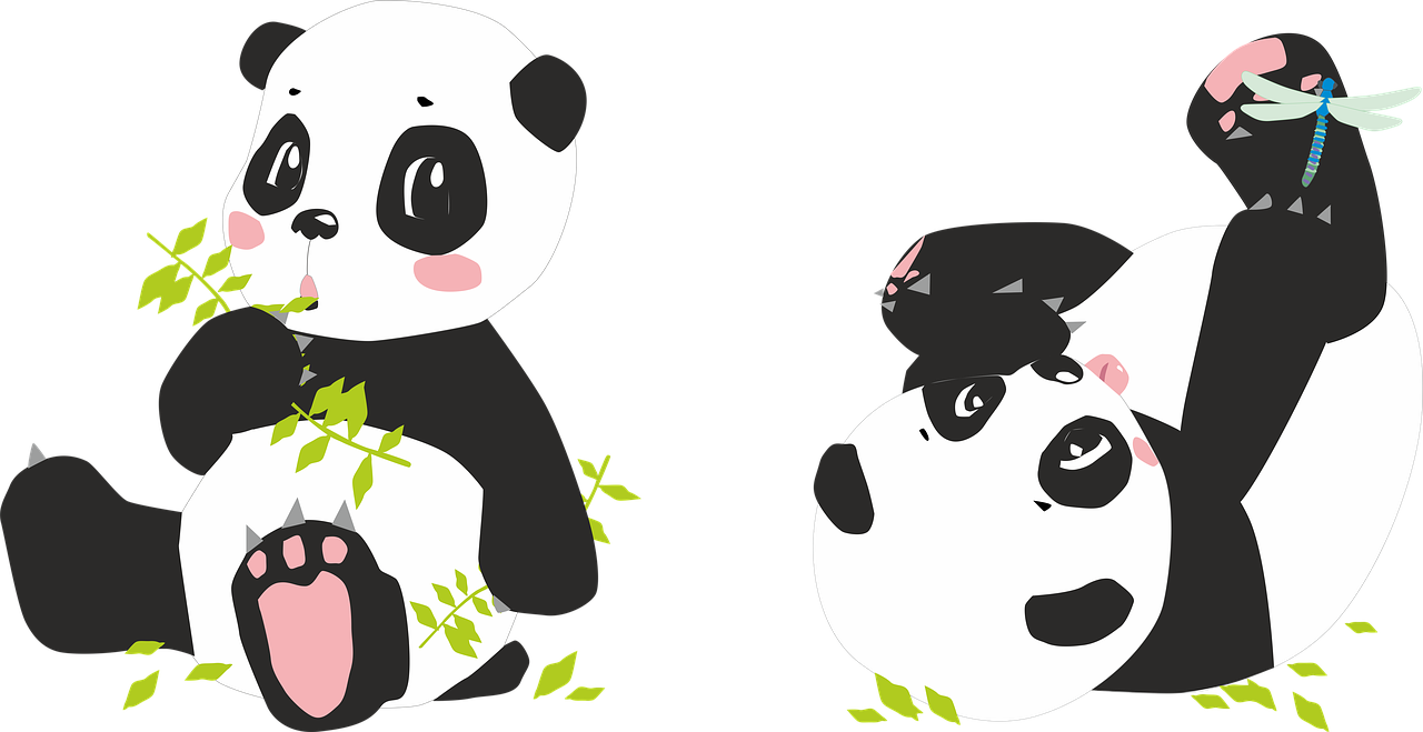 Panda, Pandas, Turėti, Lazda, Bambukas, Juoda, Balta, Kinija, Asija, Žalias