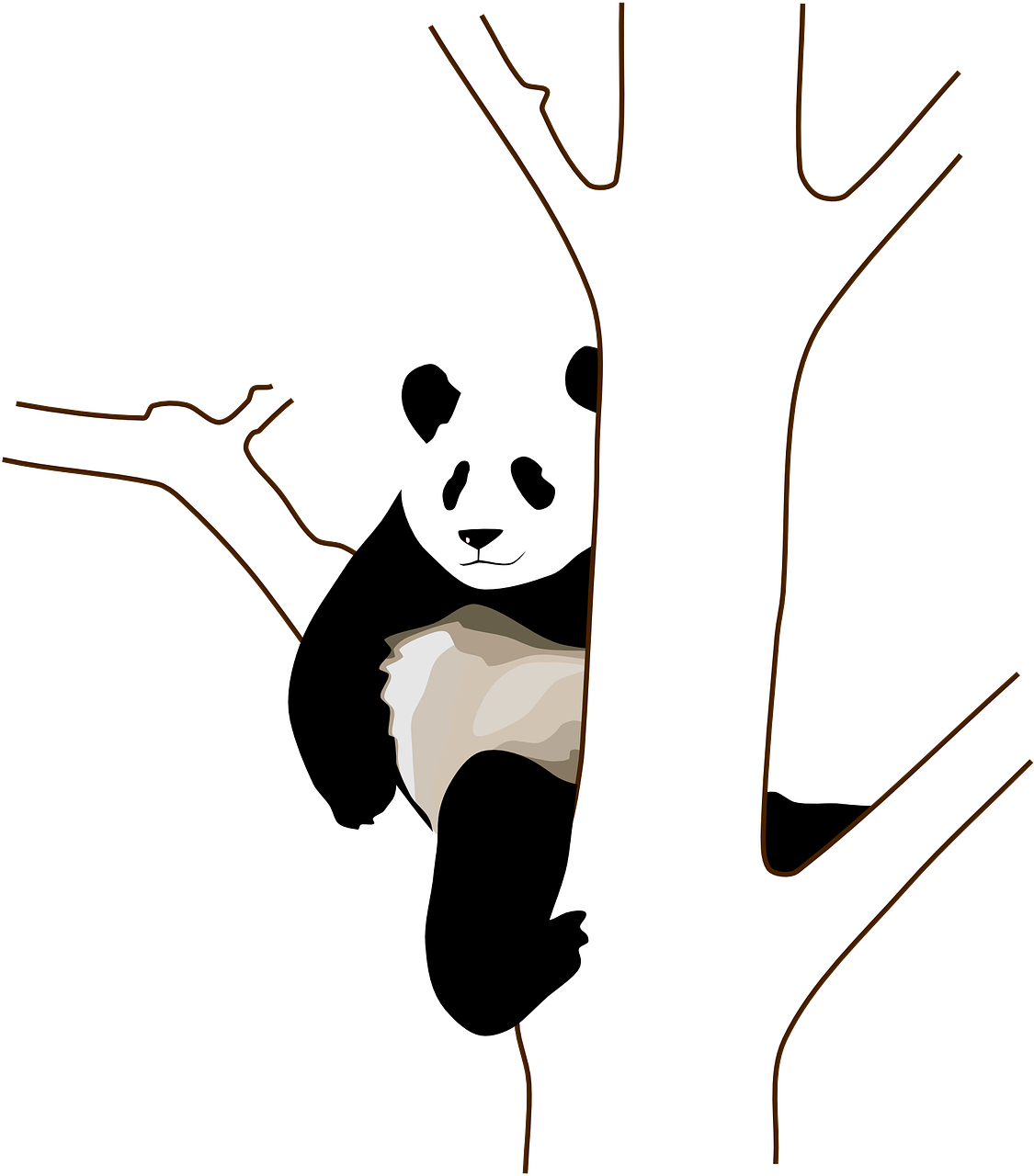 Panda, Medis, Filialas, Sėdi, Lipti, Laukiniai, Turėti, Juoda Ir Balta, Laukinė Gamta, Gyvūnas