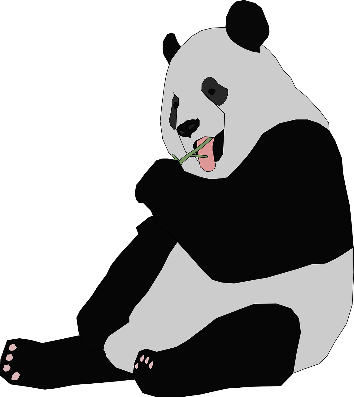 Panda, Gyvūnas, Turėti, Laukiniai, Zoologijos Sodas, Laukinė Gamta, Asija, Kinija, Buveinė, Zoologija