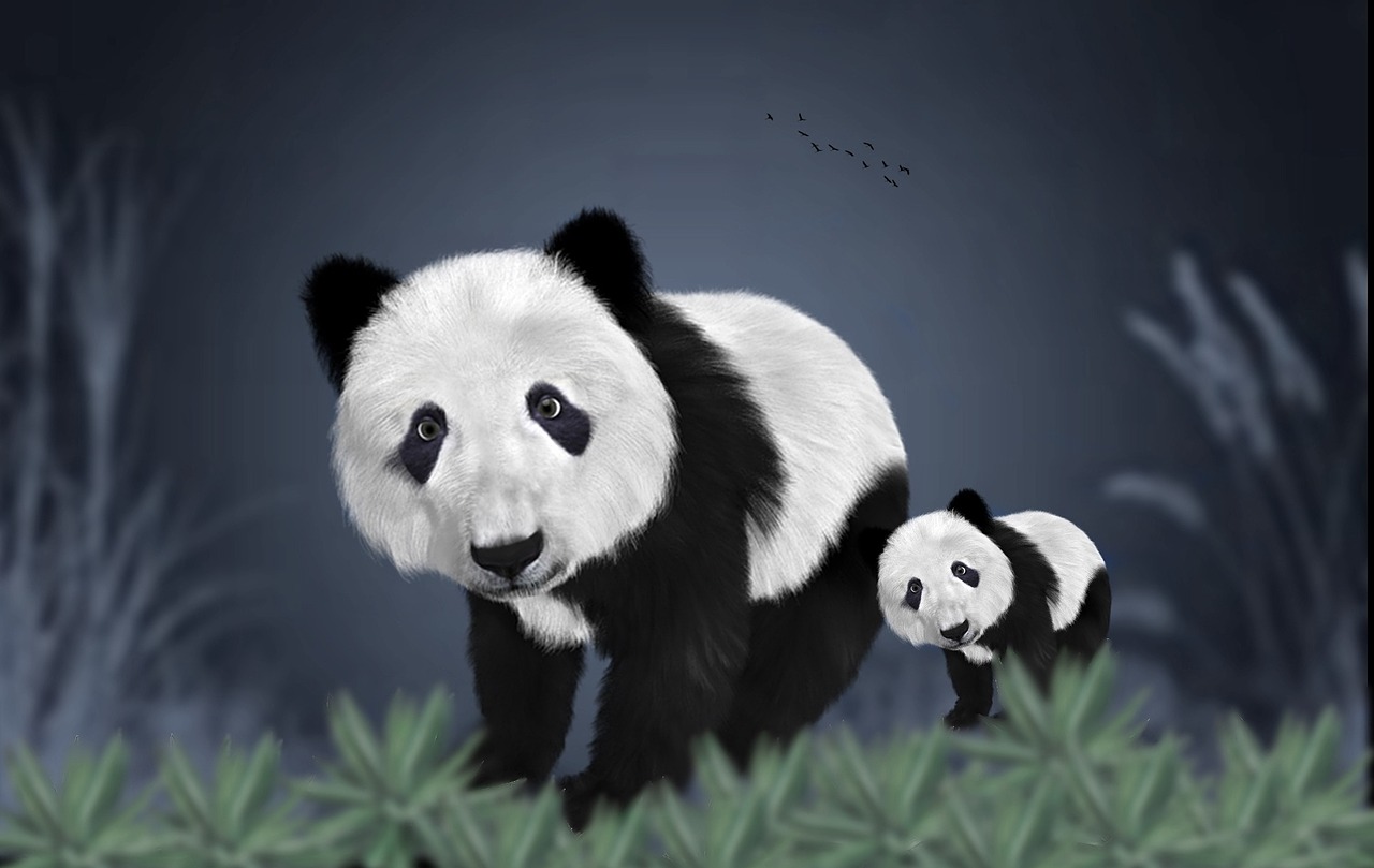 Panda, Neša, Šuniukas, Gamta, Zoologijos Sodas, Žinduolis, Gyvūnas, Nemokamos Nuotraukos,  Nemokama Licenzija