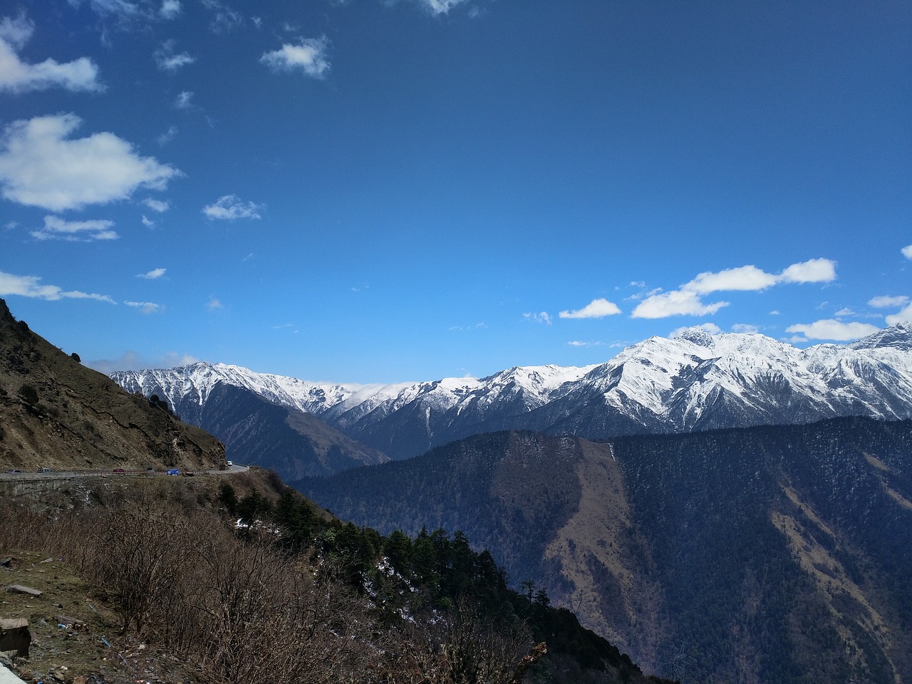 Britanijos Panda, Pakistan Lang Mountain, Vakarų Sichuanas, Nemokamos Nuotraukos,  Nemokama Licenzija