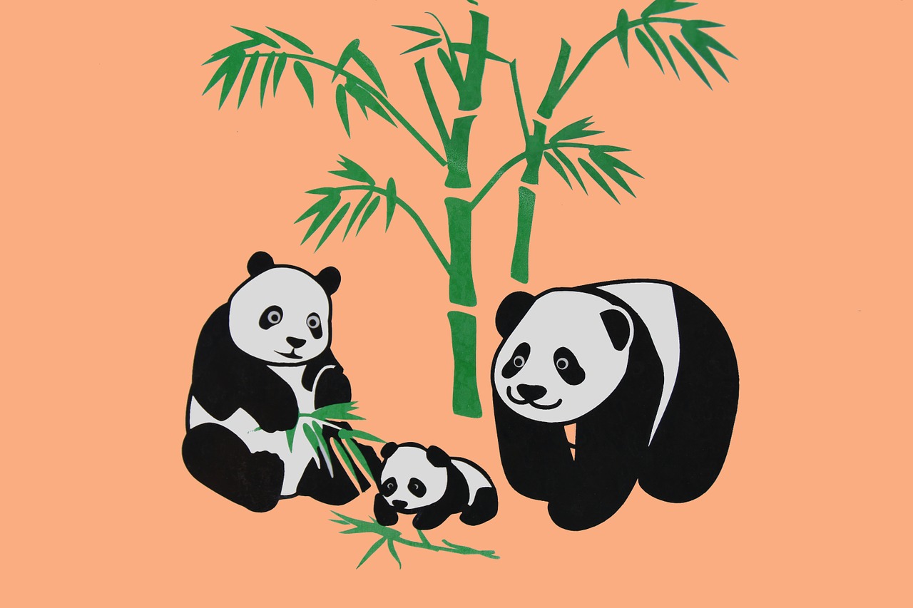 Pandas, Gyvūnai, Vektorinis Grafikas, Turėti, Laukiniai, Zoologijos Sodas, Gamta, Mielas, Laukinė Gamta, Bambukas