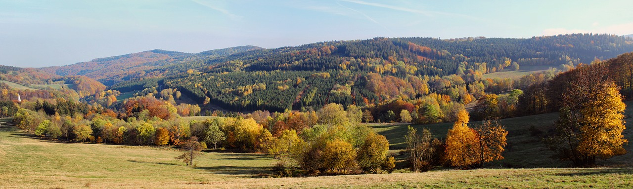 Panorama, Ruduo, Kalnai, Gamta, Vaizdas Iš Viršaus, Medis, Miškas, Ramybė, Spalvos, Vaizdas