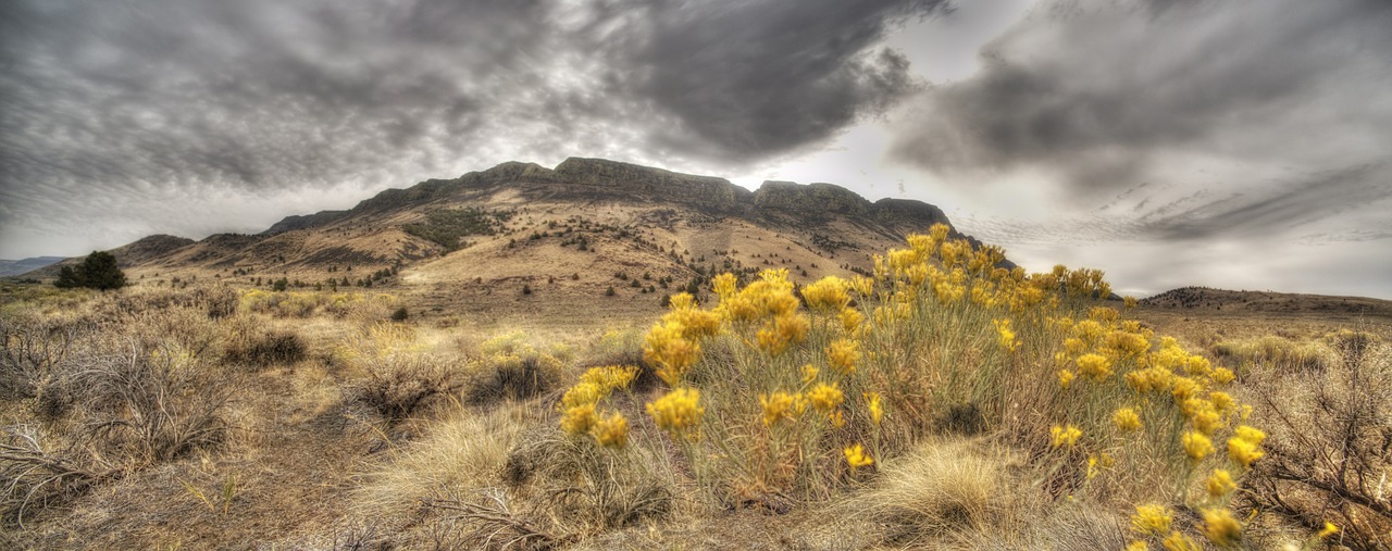 Panorama, Nacionalinis Miškas, Fremont-Winema, Oregonas, Dykuma, Gamta, Kraštovaizdis, Debesys, Gėlės, Kalvos