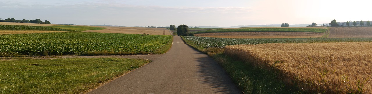 Panorama, Laukai, Morgenstimmung, Laukas, Toli, Grūdai, Grūdai, Rugių Laukas, Maistas, Vasara