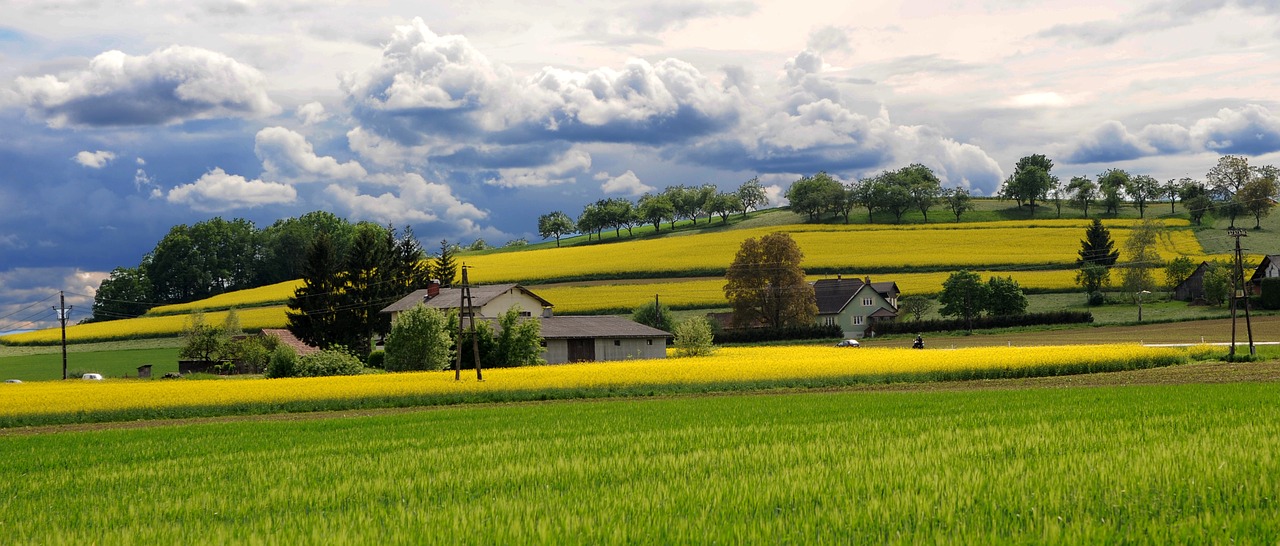 Panorama, Kraštovaizdis, Styria, Debesys, Gamta, Perspektyva, Dangus, Vaizdas, Austria, Laukai