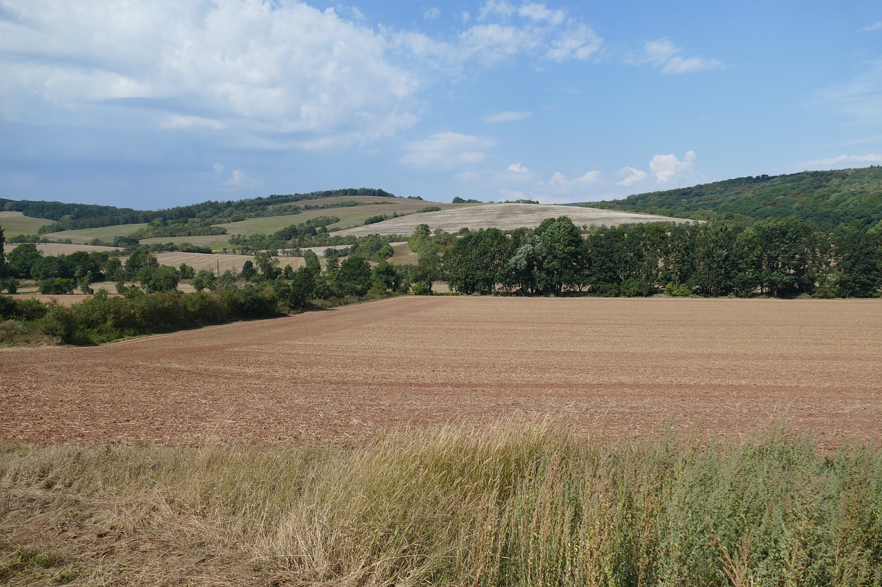 Panorama, Ariamasis, Laukas, Kraštovaizdis, Gamta, Žemdirbystė, Debesys, Vasara, Vaizdingas, Kukurūzų Laukas