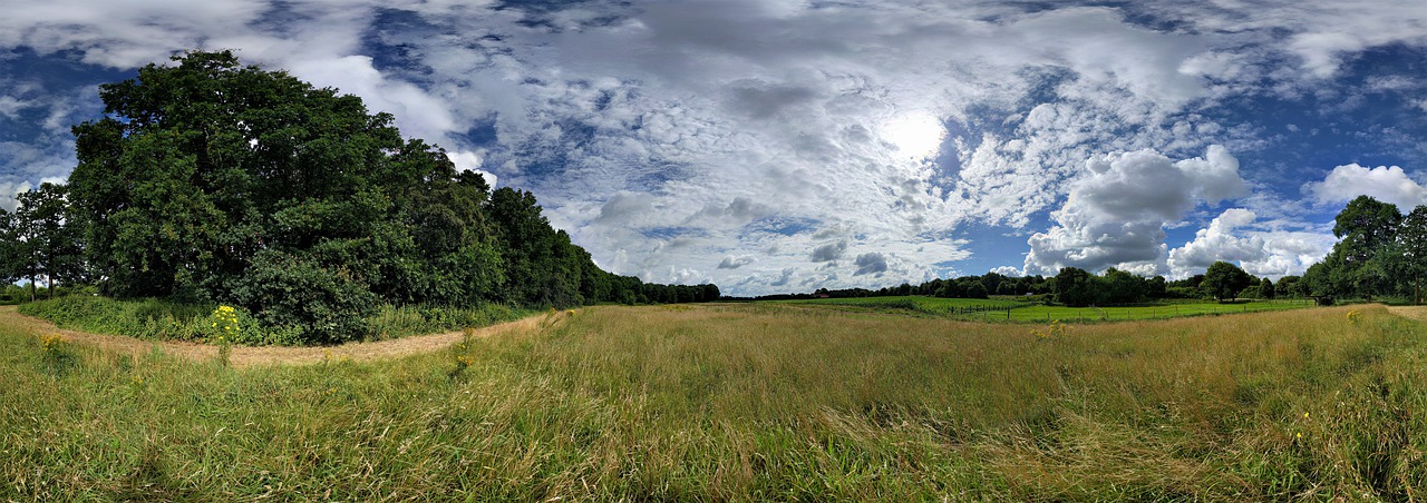 Panorama, Kraštovaizdis, Debesys, Gamta, Dangus, Vasara, Lauke, Panoraminis, Žalias, Miškas