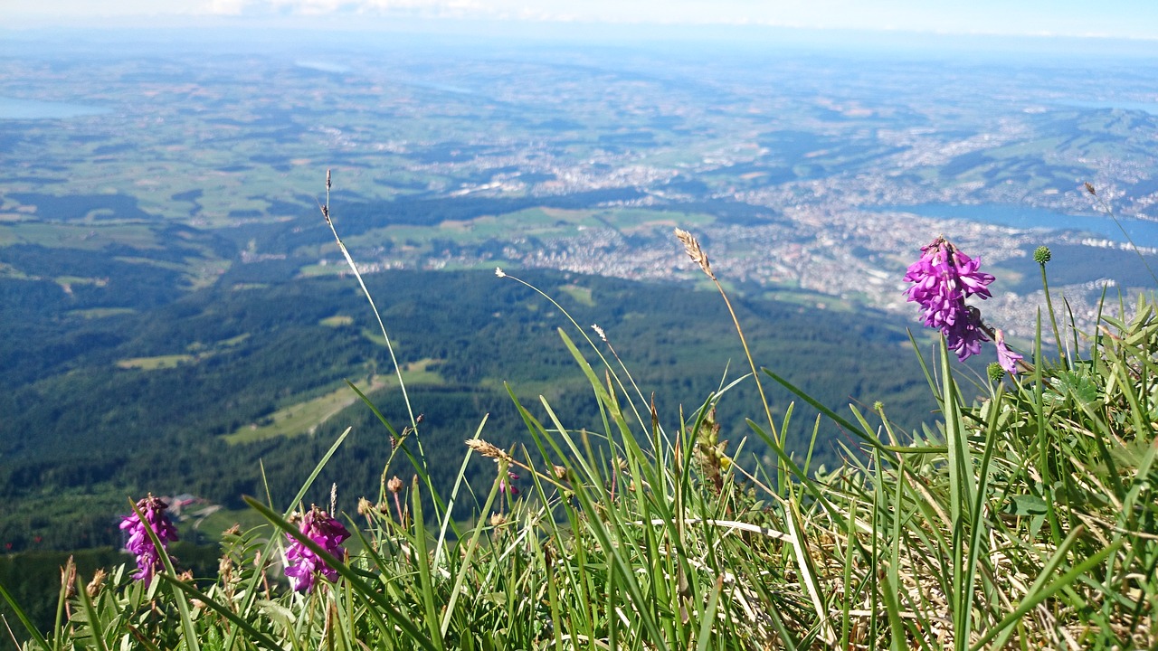 Panorama, Aukštis, Kalnų Grožis, Žolė, Šveicarija, Nemokamos Nuotraukos,  Nemokama Licenzija