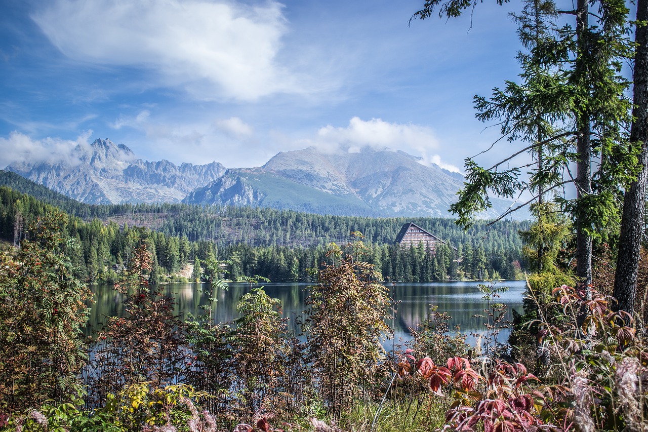 Panorama,  Pleso,  Gamta,  Ežeras,  Taika,  Aukštas Tatras,  Kelionė,  Vaizdas,  Be Honoraro Mokesčio, Nemokamos Nuotraukos