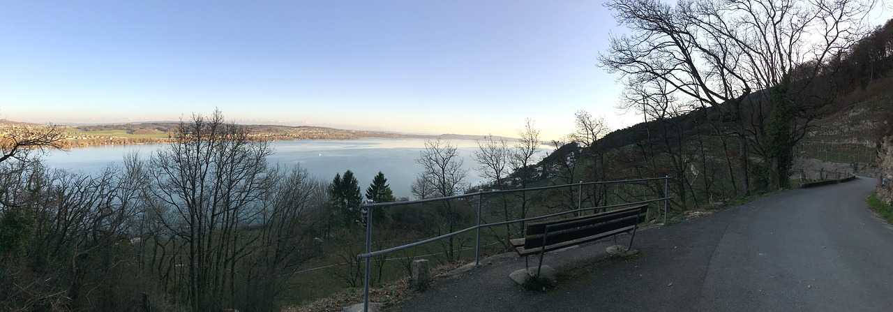 Panorama,  Pobūdį,  Žiemos,  Medis,  Kraštovaizdis,  Lake Biel,  Apšvietimas,  Vynmedžių Vanduo, Nemokamos Nuotraukos,  Nemokama Licenzija