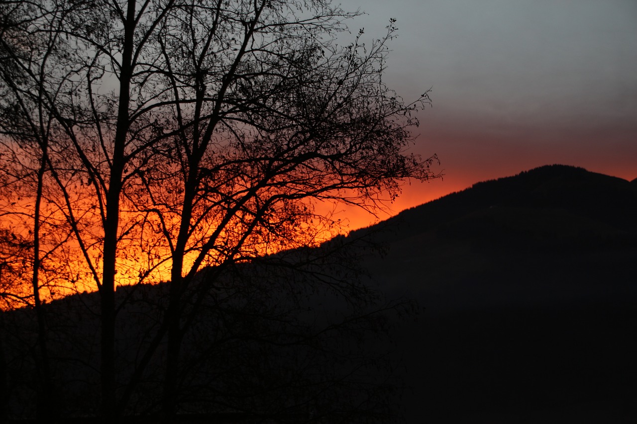 Panorama,  Medis,  Kraštovaizdis,  Dawn,  Saulėlydžio,  Vakare,  Prieblanda, Nemokamos Nuotraukos,  Nemokama Licenzija