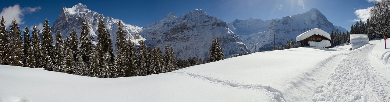 Panorama, Žiema, Grindelwald, Šveicarija, Žiemą, Bort, Saulė, Žygiai, Gražus, Kalnai