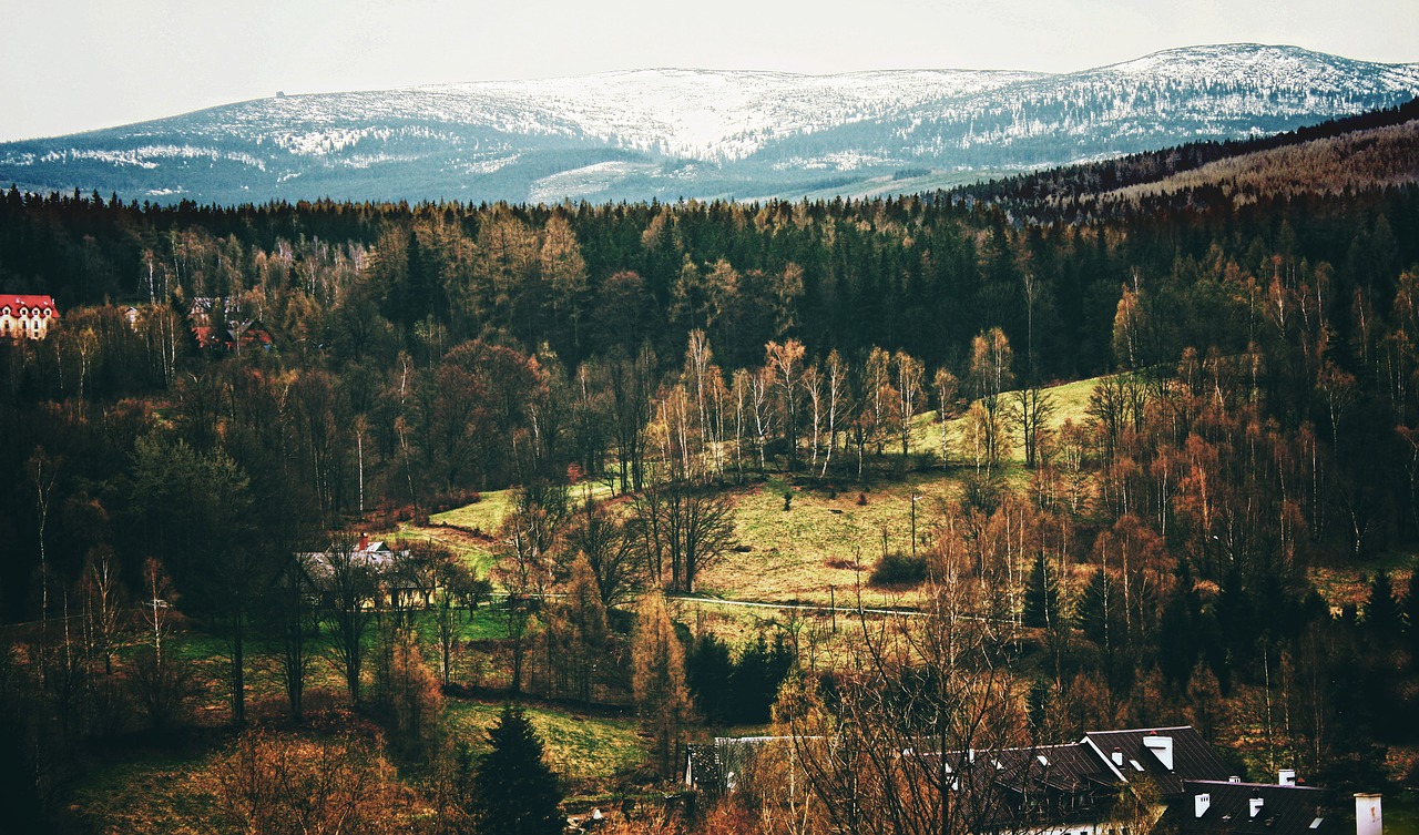 Panoraminis, Gamta, Kalnas, Medis, Kelionė, Kraštovaizdis, Teismo Posėdyje, Turizmas, Vaizdas, Kalnai