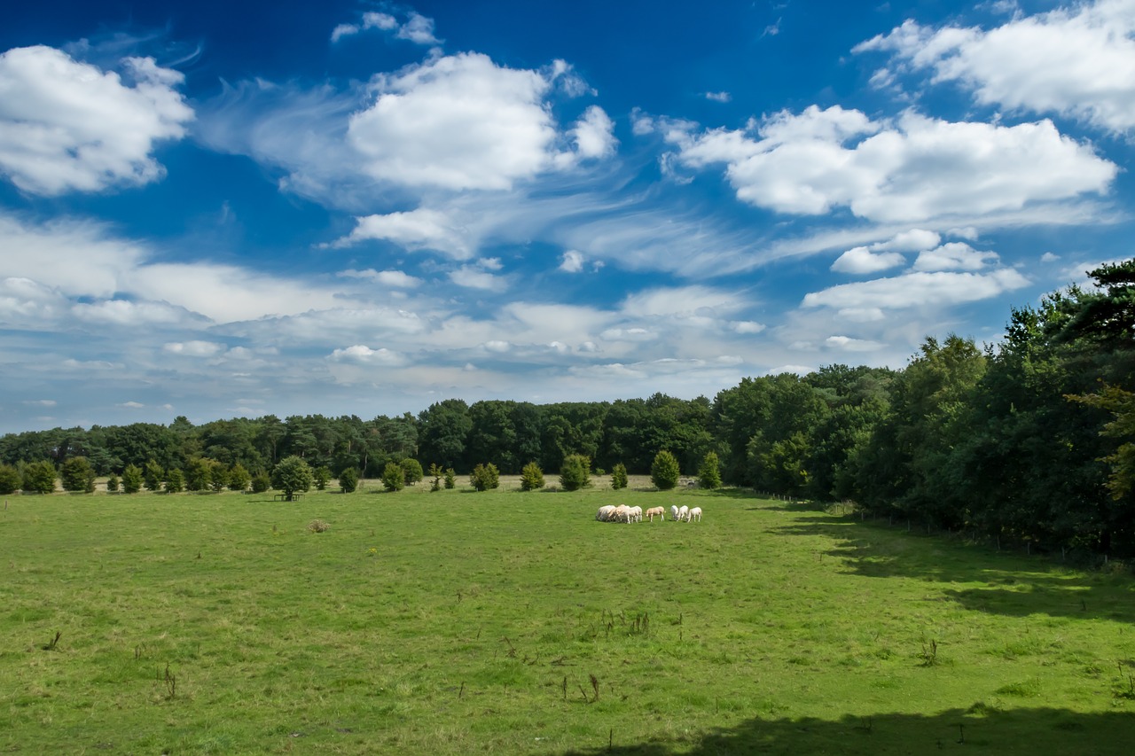 Panoraminis,  Gamta,  Kraštovaizdis,  Laukas,  Pievos,  Moretusbos,  Be Honoraro Mokesčio, Nemokamos Nuotraukos,  Nemokama Licenzija