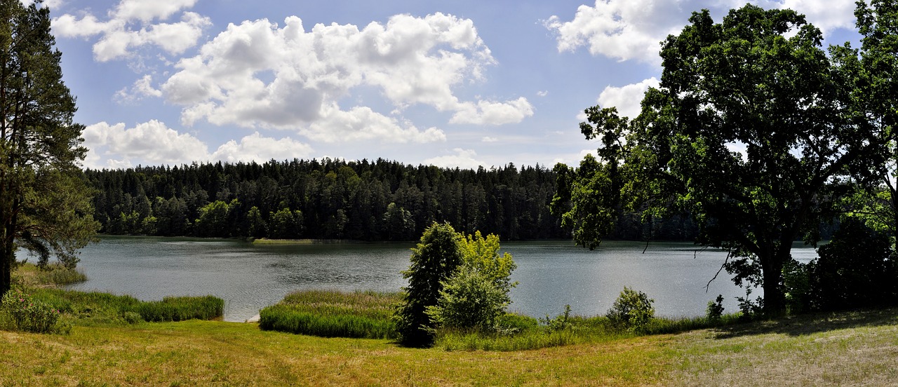 Panoraminis,  Gamta,  Medis,  Monolitinė Vandens Dalis,  Kraštovaizdis,  Debesis,  Be Honoraro Mokesčio, Nemokamos Nuotraukos,  Nemokama Licenzija