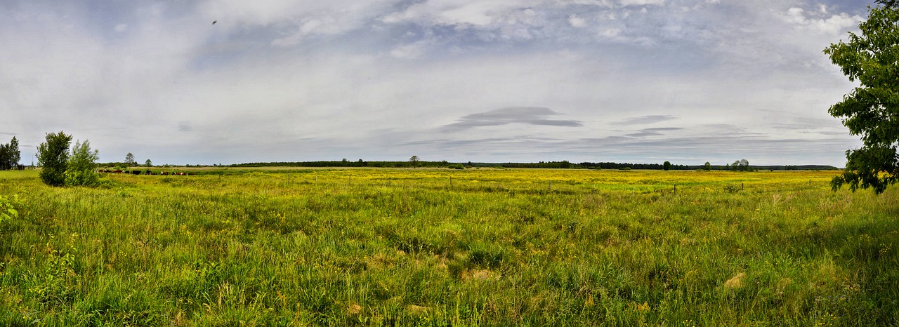 Panoraminis,  Laukas,  Pobūdį,  Kraštovaizdis,  Kaimo Rajonas,  Dangus,  Ūkis,  Debesis, Nemokamos Nuotraukos,  Nemokama Licenzija