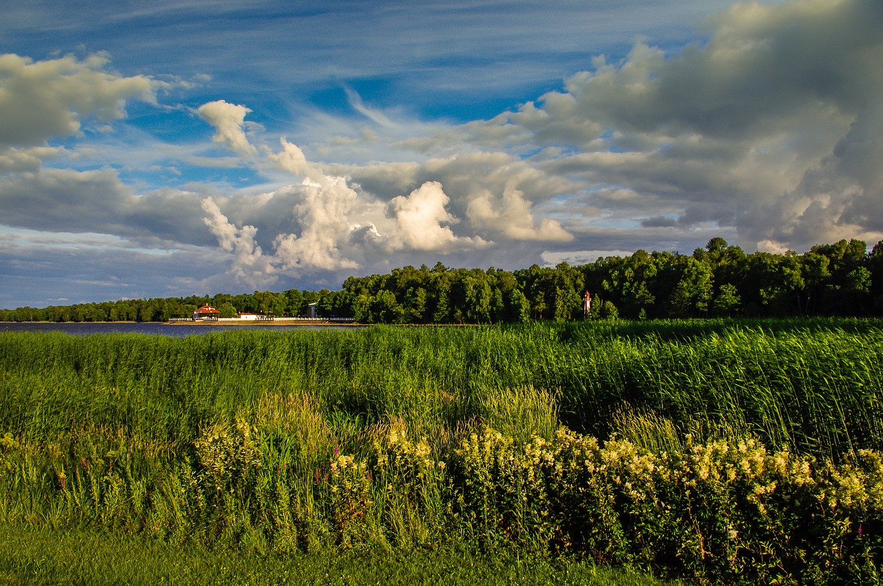 Panoraminis,  Pobūdį,  Dangus,  Debesis,  Kraštovaizdis,  Peterhof,  Sankt Peterburgas,  Rusija,  Saulėlydis, Nemokamos Nuotraukos