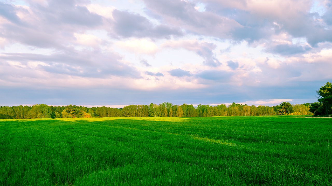 Panoraminis,  Vejos,  Laukas,  Pobūdį,  Kaimo Vietovė,  Dangus,  Horizontas,  Kraštovaizdis, Nemokamos Nuotraukos,  Nemokama Licenzija