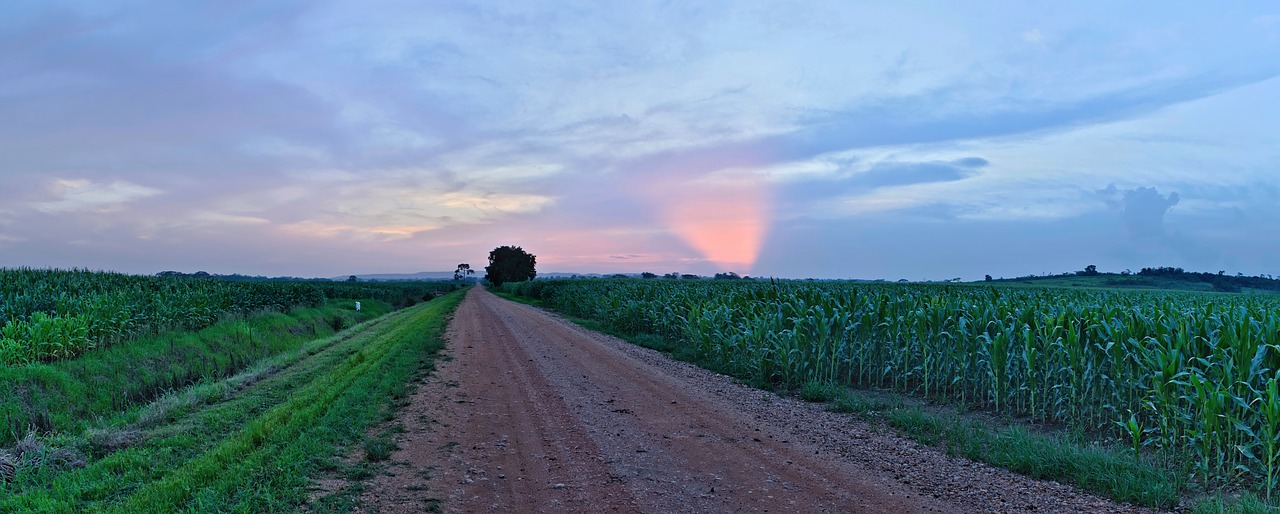 Panoraminis,  Kraštovaizdis,  Dangus,  Saulėlydžio,  Pobūdį,  Kelių,  Purvo Kelių,  Ispanijos Lookout,  Belize,  Žemės Bendruomenė