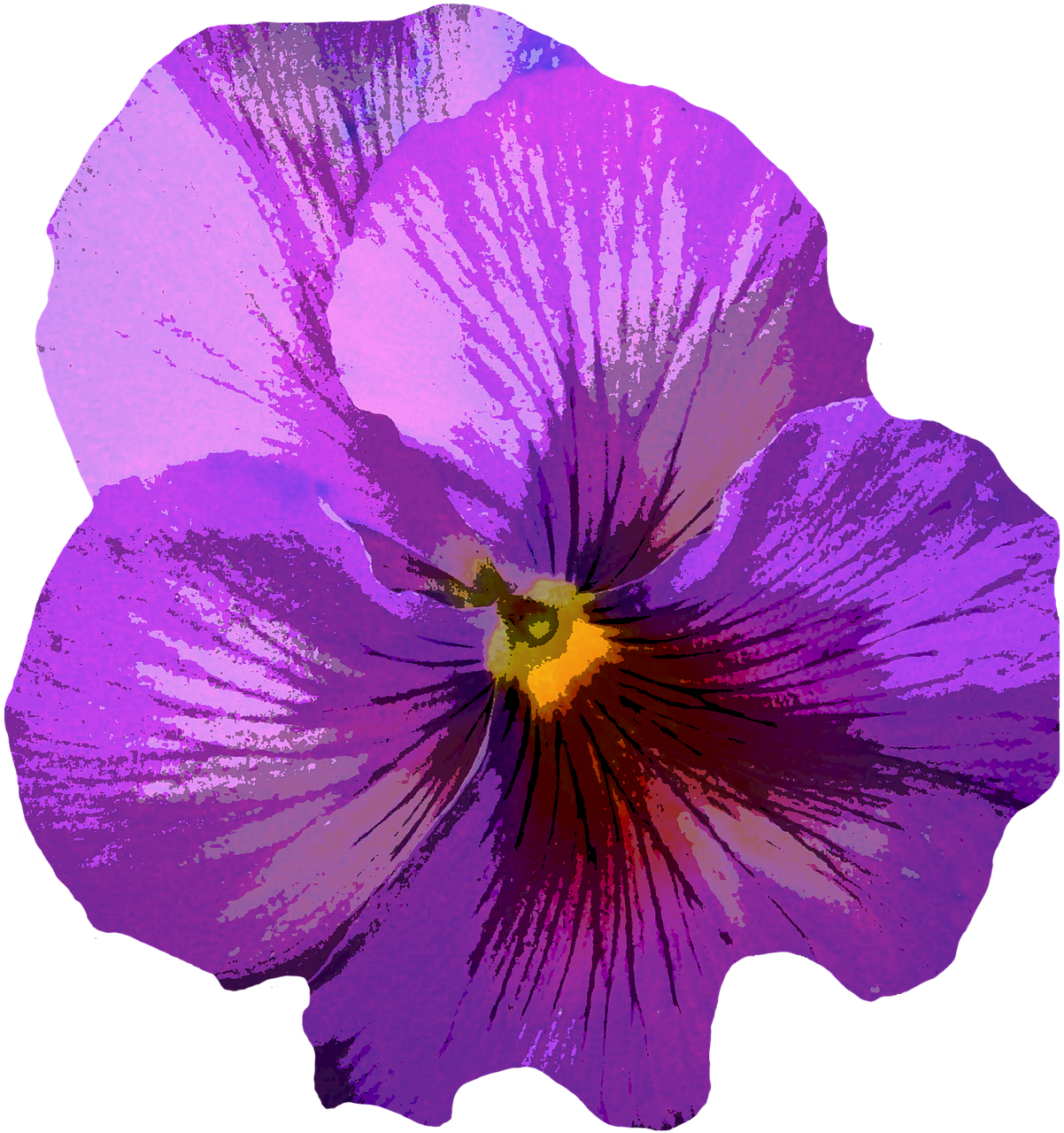 Pansy, Žiedas, Žydėti, Violetinė, Gėlė, Pavasaris, Geltona, Pavasario Gėlė, Šviesus, Augalas