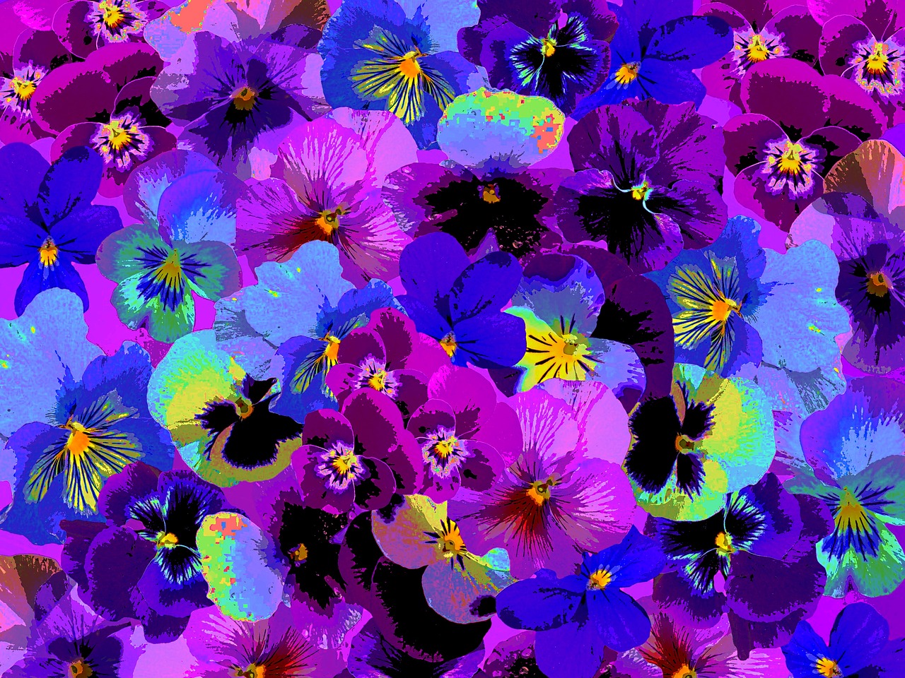 Pansy, Pavasaris, Sodas, Žiedas, Žydėti, Gėlė, Mėlynas, Violetinė, Violaceae, Augalas