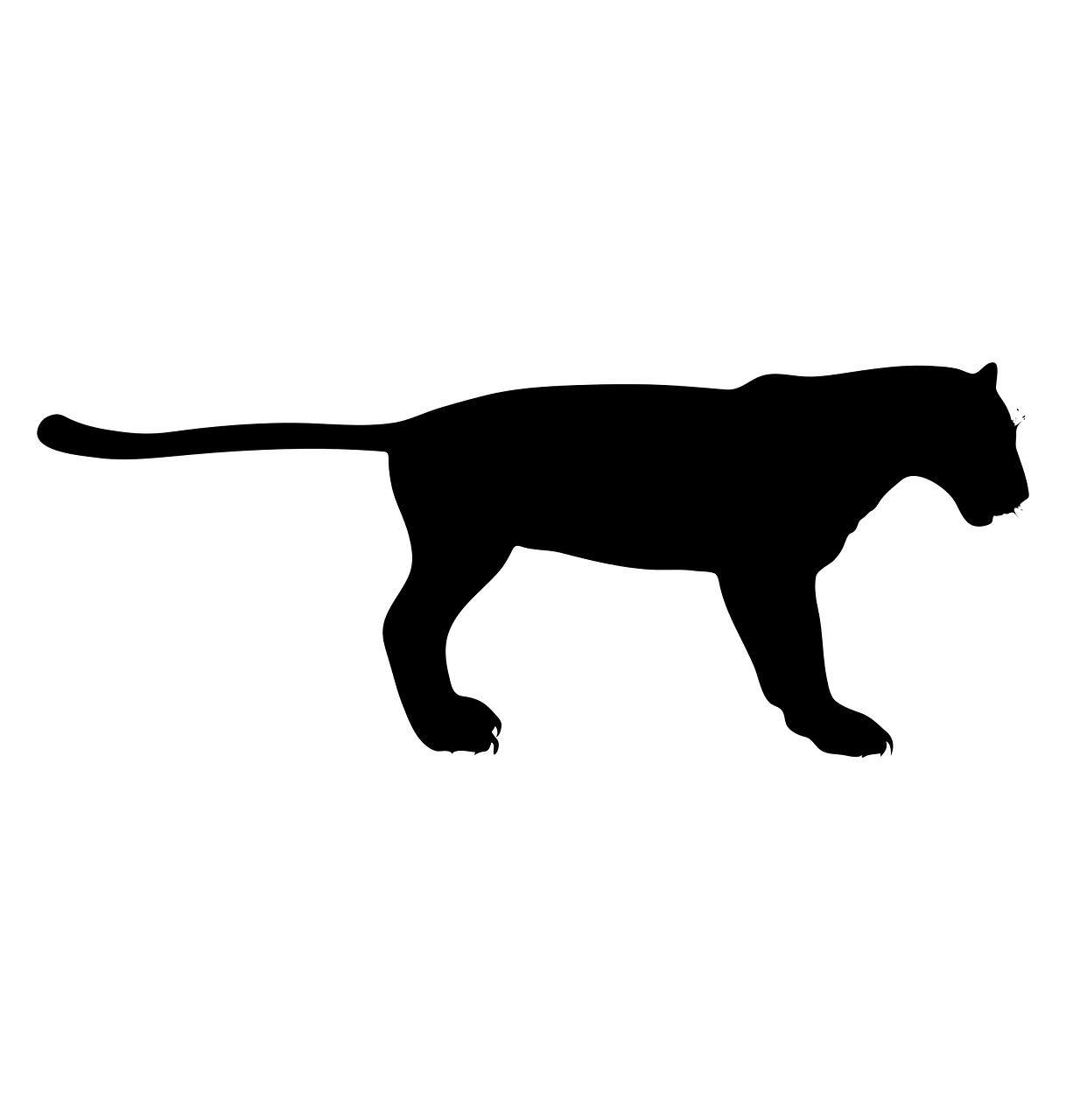 Panther, Gyvūnas, Laukiniai, Dizainas, Piktograma, Logotipas, Simbolis, Ženklas, Laukinė Gamta, Emblema